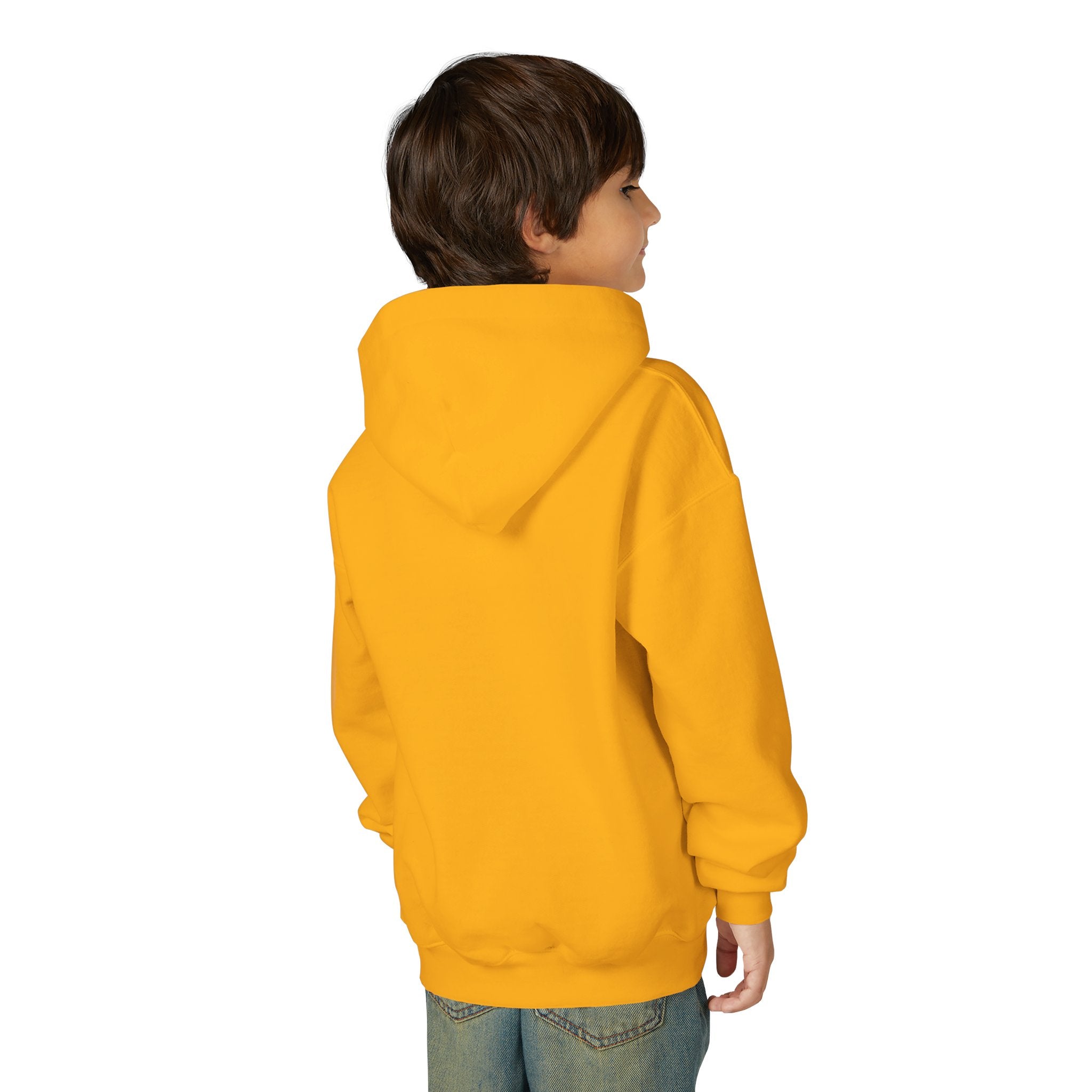 Salsa Royale Lion Crest Youth Hoodie | Pride of Colorado