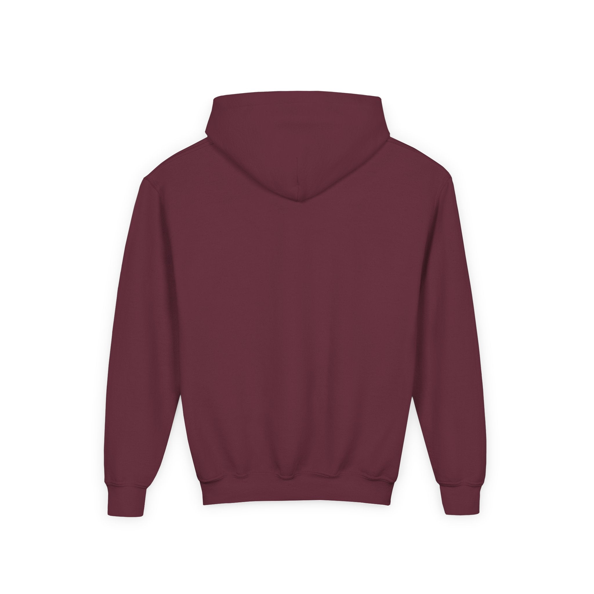 Salsa Royale Lion Crest Youth Hoodie | Pride of Colorado