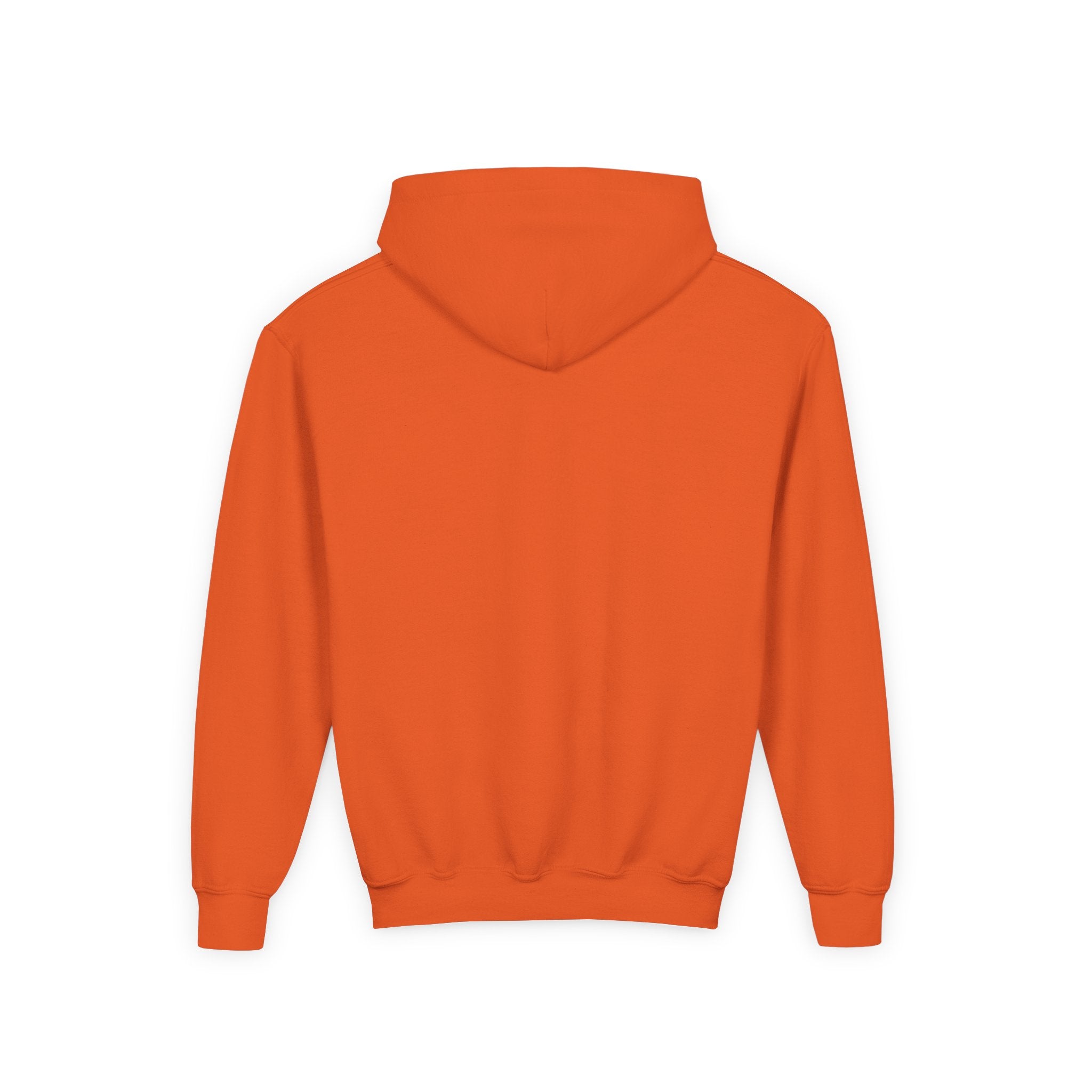 Salsa Royale Lion Crest Youth Hoodie | Pride of Colorado