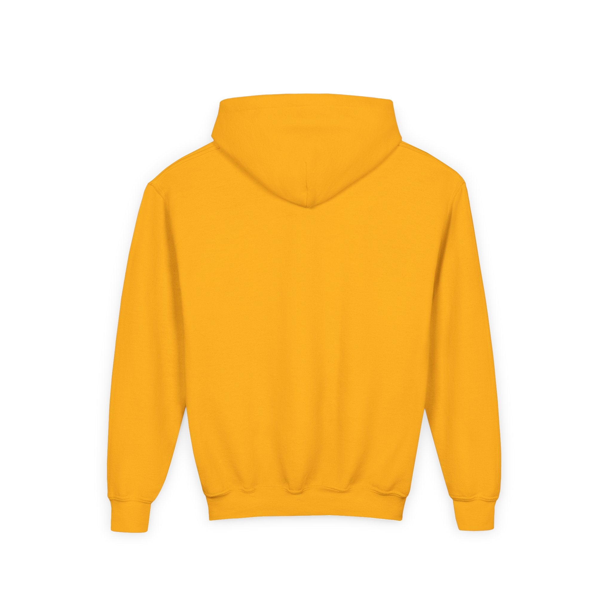 Salsa Royale Lion Crest Youth Hoodie | Pride of Colorado